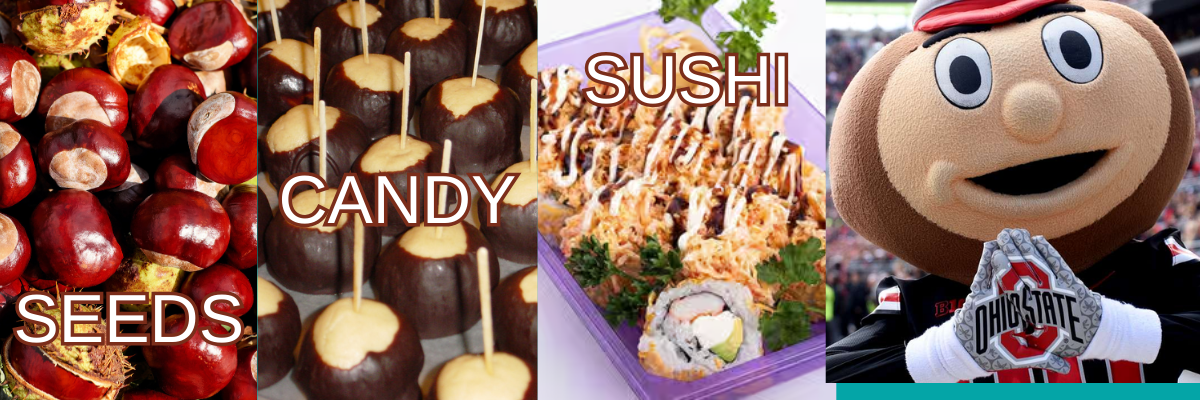 Buckeye Seeds Candy Sushi and University